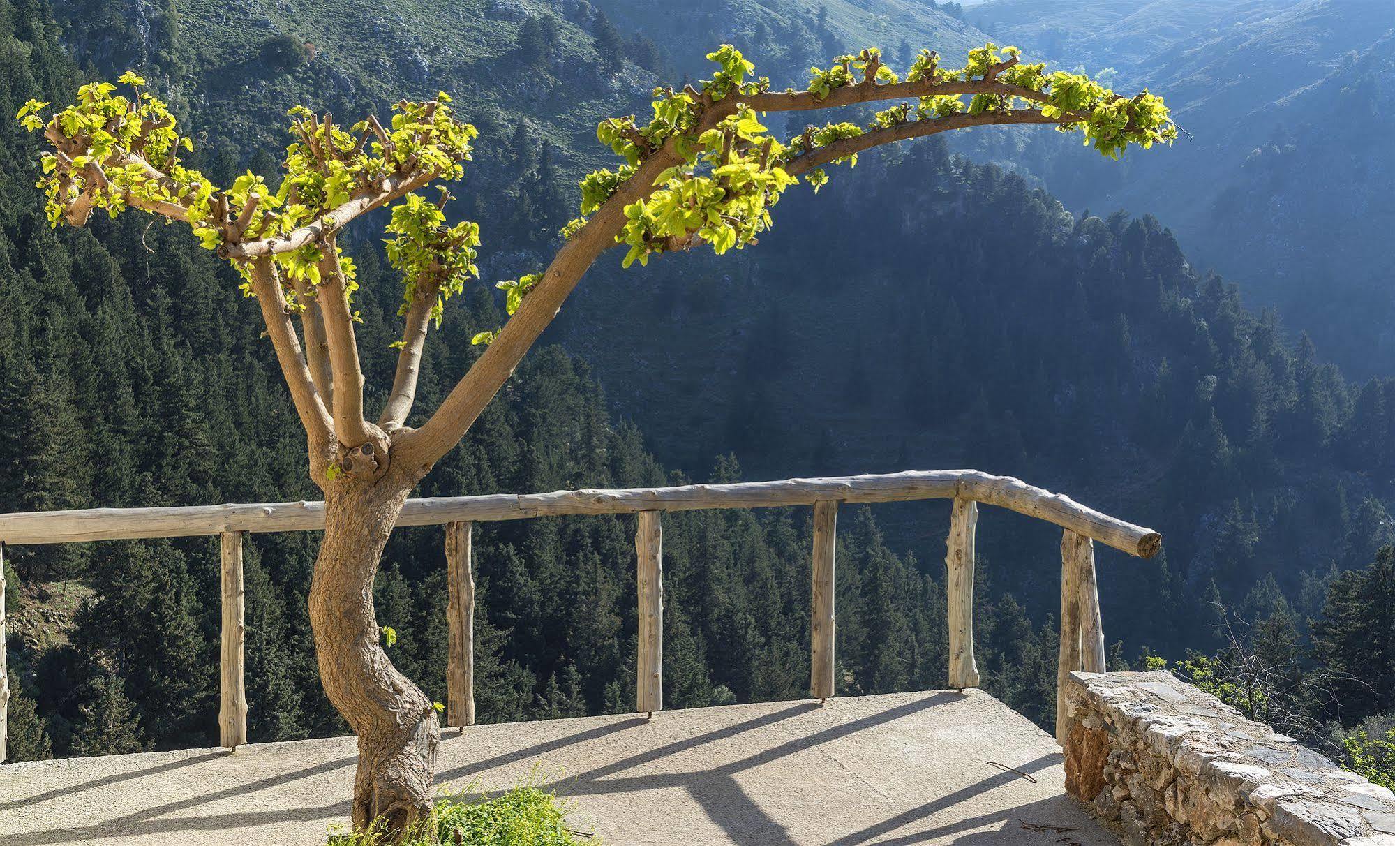 Apirathes Residence Zourva Exterior photo